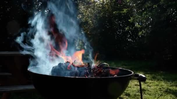 Koši Hoří Palivové Dříví Kindling Barbecue Cooking Grilled Food — Stock video