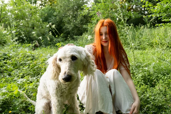 Молодая Девушка Длинными Волосами Собакой Зеленой Траве — стоковое фото