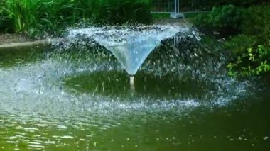 Huzurlu bir çeşme, canlı yeşilliklerle çevrili huzurlu bir gölete su püskürtür..