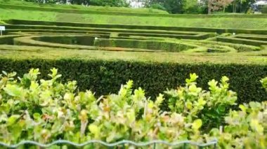 Büyüleyici bir labirentin karmaşık yollarını ve yemyeşil bahçesini keşfedin..