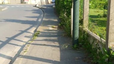 Güneşli bir öğleden sonra yürüyüşü sessiz bir kaldırımda.