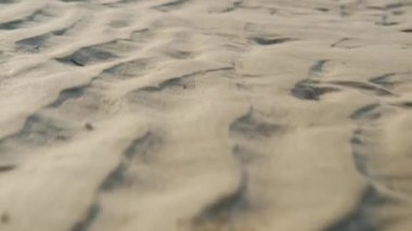 Dalgalanan kum tepelerinin yakın görüntüsü çöl manzarasının sürekli değişen doğasını gözler önüne seriyor..