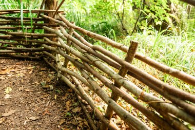 Düşen Yapraklar ve Yeşillik Tarlasında Kırsal Ahşap Çit.
