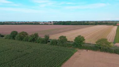 Geniş tarım arazilerinin ve açık mavi gökyüzünün altındaki yeşil alanların havadan görünüşü.