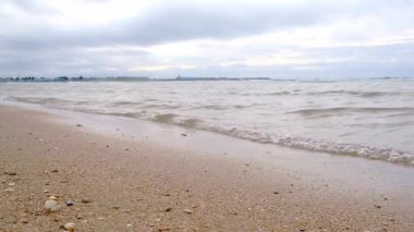 Güneşli kırsal esintide yemyeşil sarmaşık çiçek açar..