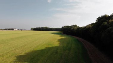 Uçsuz bucaksız tarım arazileri ve kırsal yolda giden arabanın havadan görünüşü.