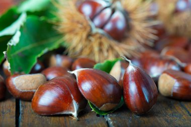 Tahta arka planda yaprakları olan bir kestane ağacı.