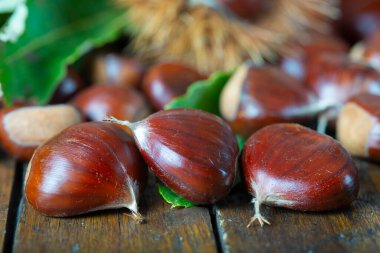 Tahta arka planda yaprakları olan bir kestane ağacı.