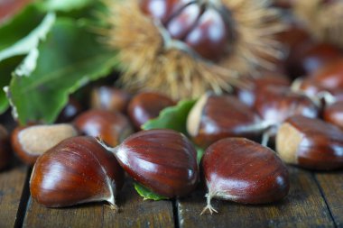 Tahta arka planda yaprakları olan bir kestane ağacı.