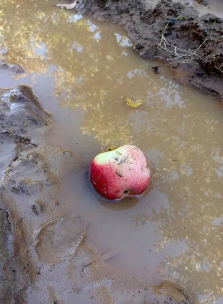 Падаюче Червоне Яблуко Воді — стокове фото