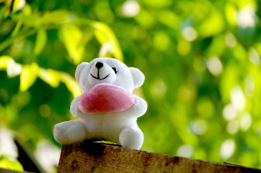 Ayı. Oyuncak ayı. Güneşli bir bokeh arka planda oyuncak ayı