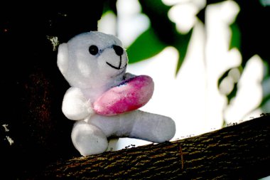 Ayı. Oyuncak ayı. Güneşli bir bokeh arka planda oyuncak ayı