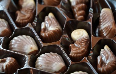 chocolate candies seashells and other sea creatures Best gift for girls and women. Wonderful dessert for any occasion. Beautiful design and great taste. Enjoy your meal.