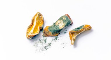 rotten lemon peels dried in mold. On a white background