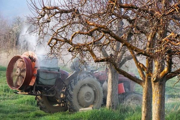 Traktor Med Atomizer Spruta Besprutning Bekämpningsmedel Äppelträd Början Våren Atomizer — Stockfoto