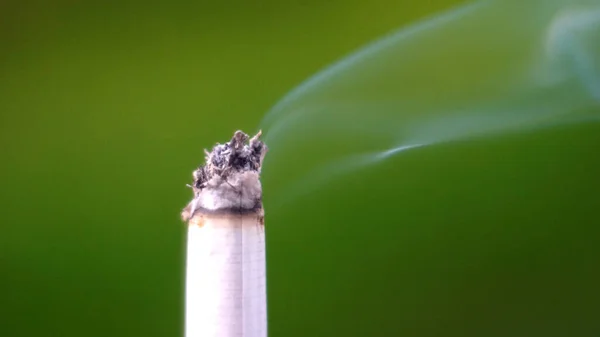 タバコの煙 緑の自然を背景にカット — ストック写真