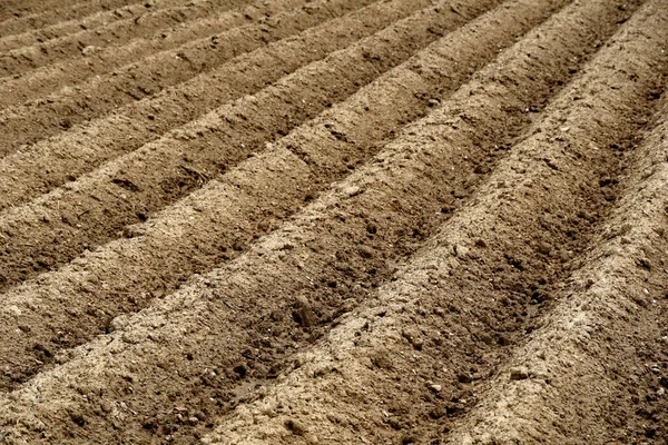 Furrows Row Pattern Plowed Field Prepared Planting Crops Spring Horizontal — Stock Photo, Image