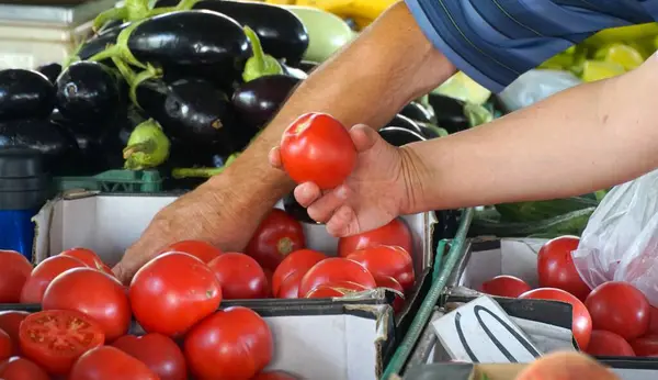 Mano Sosteniendo Tomate Fresco Mercado Agricultores — Foto de Stock