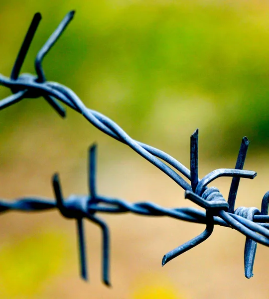 Close Barbed Wire Circle Iblured Background — Stock Photo, Image