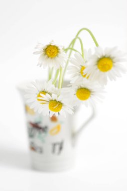 Beyaz arka plan üzerinde izole chamomiles
