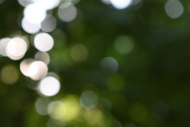 soyut yumuşak yeşil bulanık arkaplan, ekoloji kavramı