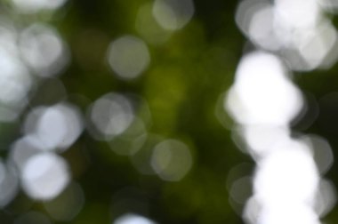 soyut yumuşak yeşil bulanık arkaplan, ekoloji kavramı