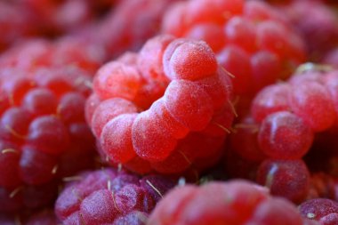 Taze toplanmış organik ahududuları kapatın..