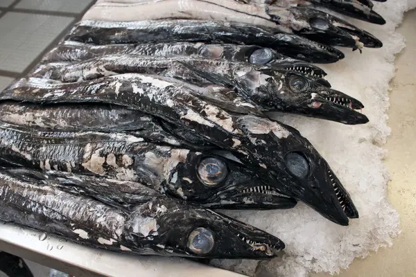 stock image Saber fish is sold at a commercial ice  counter