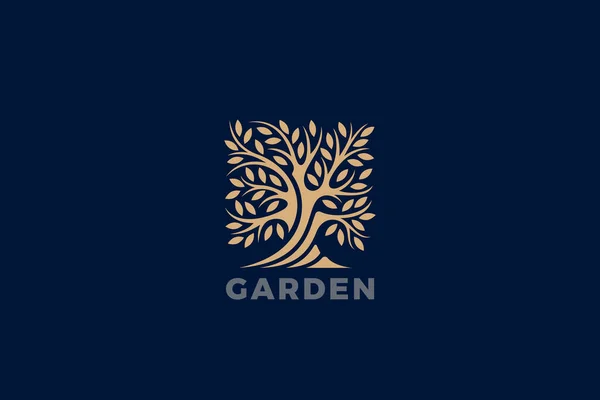 Tree Logo Leaves Abstract Square Shape Design Vector Garden Oak — Stock Vector