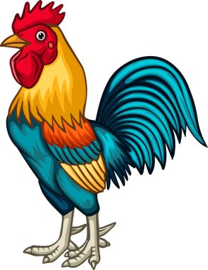 Illustration of Cartoon rooster on white background