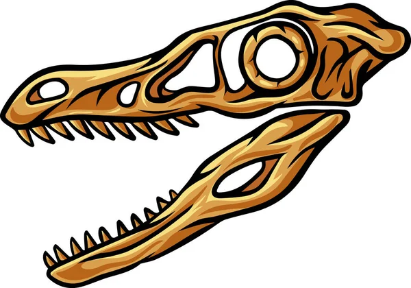 Velociraptor Dinosaur Skull Fossil Illustration — 图库矢量图片