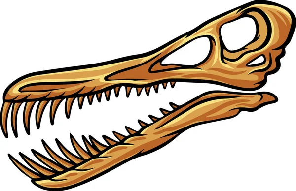 Pterosaur Dinosaur Skull Fossil Illustration — 图库矢量图片
