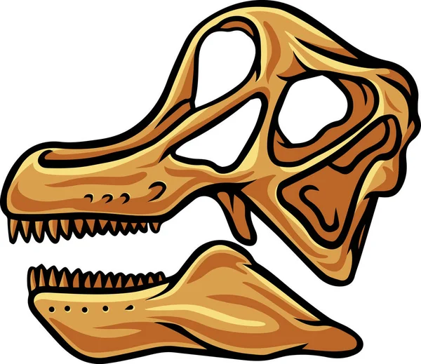 Brachiosaurus Dinosaur Skull Fossil Illustration — 图库矢量图片