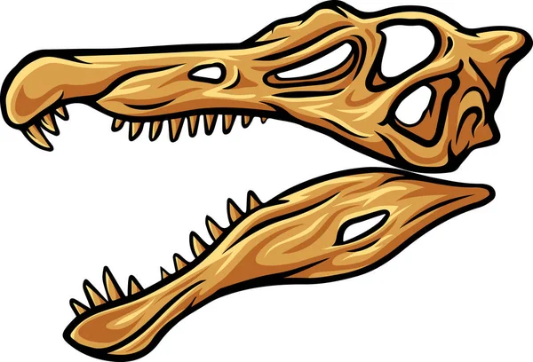 Spinosaurus Dinosaur Skull Fossil Illustration — 图库矢量图片