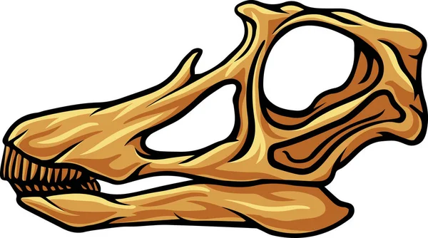 Apatosaurus Dinosaur Skull Fossil Illustration Grafika Wektorowa