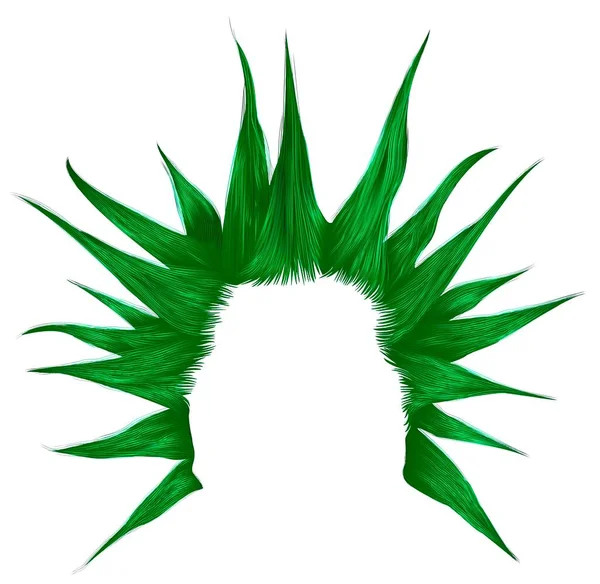 Punk Žolík Účes Shaggy Zelené Účes Módní Styl Stock Ilustrace
