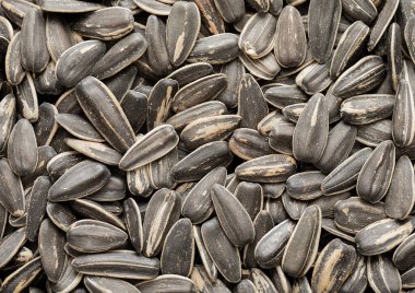 Çiğ tuzlu ayçekirdeği üst görünüm makro arkaplan.