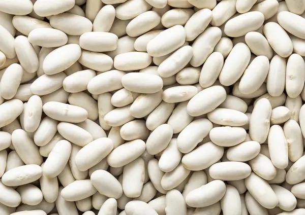 White Healthy Dry Raw White Bean Seeds Textured Background Stock Photo