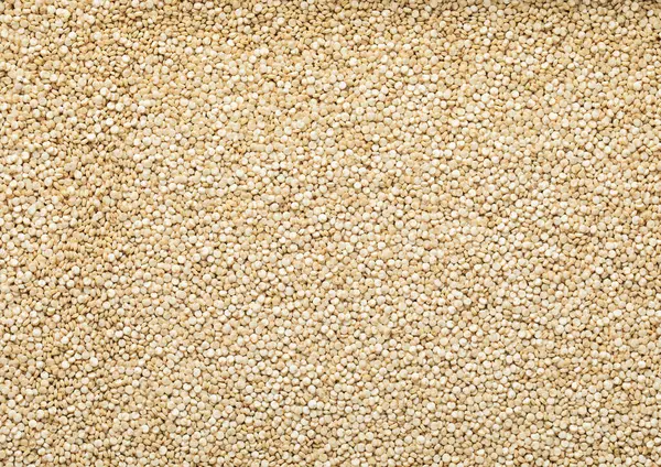 Fehér Egészséges Bolíviai Quinoa Balanda Gabona Mag Texturált Háttér Stock Kép