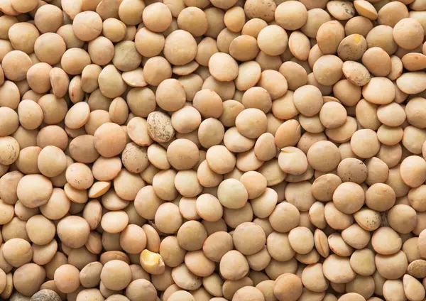 White Raw Healthy Lentils Grain Seeds Textured Background Royalty Free Stock Photos