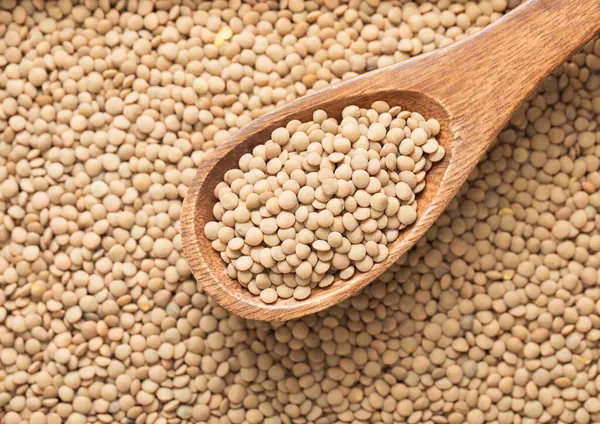 White Raw Healthy Organic Lentils Grain Seeds Wooden Spoon Kitchen Stock Photo