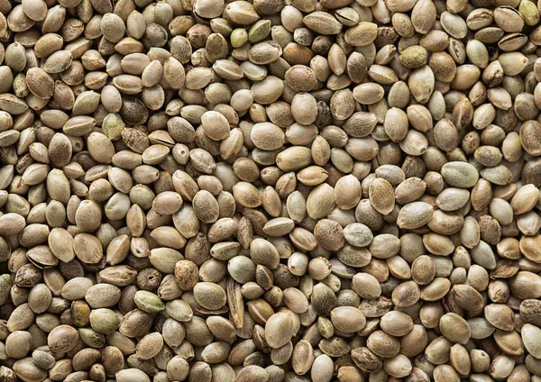 Green Raw Healthy Organic Hemp Food Seeds Textured Background Stock Picture