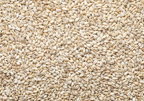Healthy Raw Pearl Barley Grain Seed Textured Background Royalty Free Stock Photos