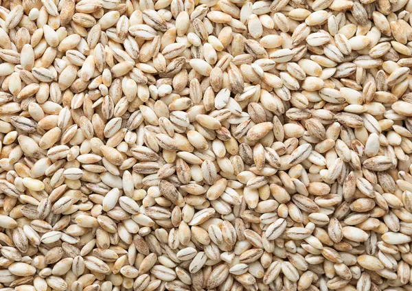 Healthy Raw Pearl Barley Grain Seed Textured Background Royalty Free Stock Images