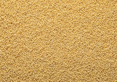 Sarı çiğ organik darı tohumları dokulu arka plan.