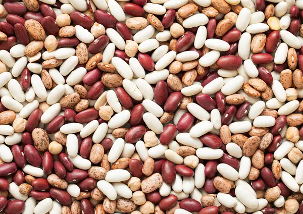 stock image Assorted mix of red and white and variegated bean seeds with chickpeas textured background.