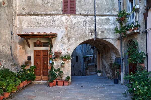 Casas Piedra Una Calle Pavimentada Una Pequeña Ciudad Toscana Italia — Foto de Stock