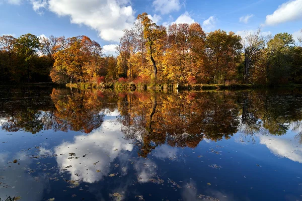 Kolorowe Liście Drzew Odbite Powierzchni Wody Parku Jesienią Polsce — Zdjęcie stockowe
