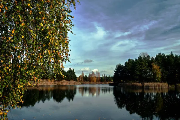 Kolorowe Liście Brzozy Widok Jezioro Otoczone Jesienią Drzewami Polsce — Zdjęcie stockowe
