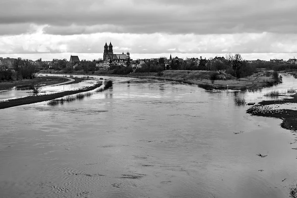 Edificios Históricos Río Warta Ciudad Poznan Polonia Monocromo —  Fotos de Stock